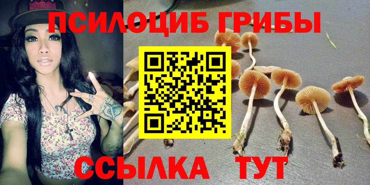 Галлюциногенные грибы прущие грибы Кольчугино